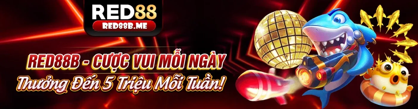 Hình ảnh chính blog 888new30 link mới nhất