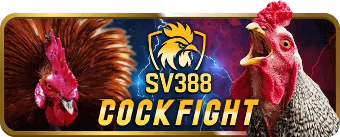 Điền thông tin đăng ký 888new30